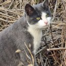 둔촌동물병원 이미지