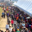 남상일과 함께하는 디톡스 콘서트 이미지