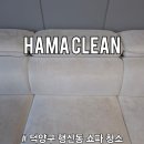 준 동물병원 | 고양시 덕양구 행신동 쇼파 청소 업체 하마클린 얼룩 제거 후기는?