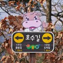 횡성 호수길 1구간 이미지