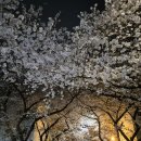 밀양돼지국밥.감자탕 이미지