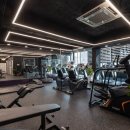 바디어필 이미지