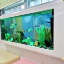 경수병설유치원 이미지