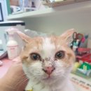 충효에덴 이미지