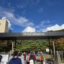 숲이다 | 경기도 광주 단풍놀이 | 화담숲 방문 후기