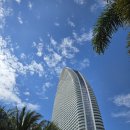 야자수당구장 이미지