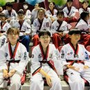 경희대 우리태권도 이미지