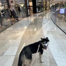 신해피투어 이미지