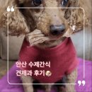 견제과 이미지