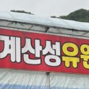 용계 이미지