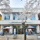 일지 브레인 아트 갤러리 카페 이미지