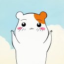 남도어부
