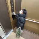 [초등학생 크리스마스 특강]다함께~ 크리스마스트리 만들기 목공(1~3학년) | [서울 금천] 크리스마스트리 만들기 (금천정원지원센터 정원프로그램 후기)