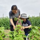 ＜섹션1＞ 사랑 나누기 행복 더하기---수필 이미지