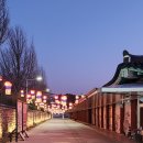 (주)화진관광여행사 | 해밀여행사 광양매화마을 실시간 매화 개화시기 카카오메이커스 기차여행 후기(2025년 3월말)