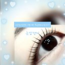 [내돈내산 수원시청역 속눈썹펌 리얼후기] 눈썹쟁이