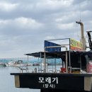 장사항 | 속초배낚시 낚시체험 장사항 모래기호 솔직후기
