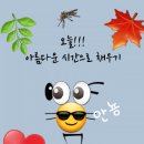 2019 년 12 월 8 일 둘째 주 일요일 공덕국민학교 ~6924~ 동창생들 정모 이미지