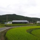 양지 태양광 발전소 이미지