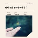 이리오개 어서오개 | 발리 우붓 반딧불 투어 후기