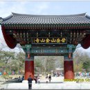 모악산 일주문 이미지