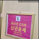 연진사주타로 이미지