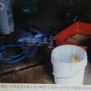 함라건강원