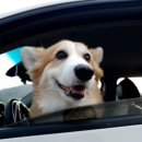 어서타개 이미지