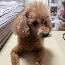 (주)재원푸드 롯데백화점 인천터미널점 | [일상] 1월 셋째주 일상, 사소하고 잡다한 이야기들...키우는 법, 롯데백화점 옵스, 영풍문고, 사라져...