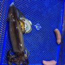 시나브로 | 속초여행 속초가볼만한곳 - 직접 갔다온 속초맛집 속초카페 정리