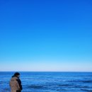성진회관 | 강원도 고성 겨울여행 2탄 (홍가네설렁탕,거진항,대진1리해수욕장,초도항,성진회관 대구탕)