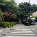 눈꽃속눈썹 강남구청