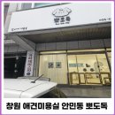 뽀도독 | 창원 안민동 애견미용 뽀도독 위생 목욕