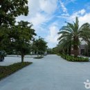 카세로지 이미지