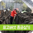 해월도가 이미지