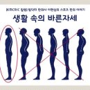 바른자세 테라피 이미지