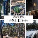 하루만족발과치킨 | 태안 몽산포 야영장 캠핑 후기｜소나무 숲 힐링 캠핑과 컬투치킨, 삼겹살 먹방