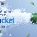 씨드스토리 이미지