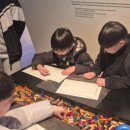 용인대 화랑 태권도 이미지