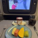 더비즈니스 | [캐세이 퍼시픽] 홍콩 경유 레이오버 22시간 비즈니스 탑승 더 피어 라운지 후기