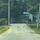 월오포레스트 이미지