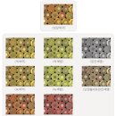 서문안경원 | 색맹색약 전문 - 색각이상전문안경원 ( ft.대구아이림안경 ) : 후기 - 적녹색약 콘텍트렌즈 + 적녹색약...