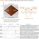 신용조명