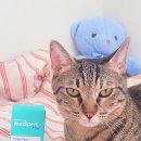 더키메디 이미지