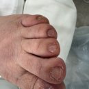 레푸스앤두두뷰티 이미지