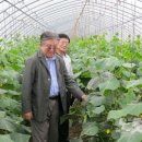 에이스농장 이미지