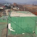 농협신니 이미지