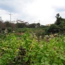 정원2농장 이미지