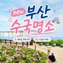 보라스카이타운 | 부산 신상 수국 명소 오륙도 해맞이공원 개화 주차, 7월 부산 여행지 추천