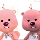 강남역 증명사진 레코디드